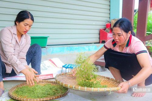 Tận mắt xem người Thái làm cốm Tú Lệ nức tiếng xa gần