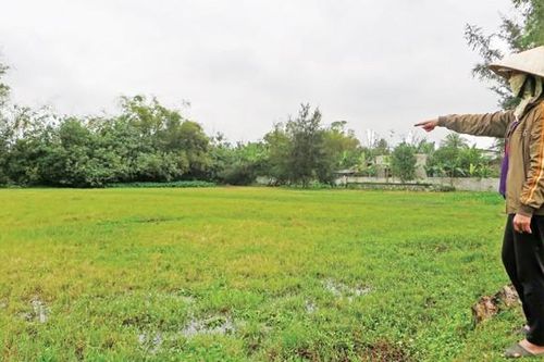 Thực dụng với đồng ruộng!