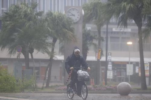 Nhật Bản: Hàng nghìn người phải trú ẩn khi bão đổ bộ