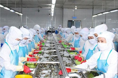 Xuất khẩu hàng Việt Nam sang Italy tăng trưởng hai con số