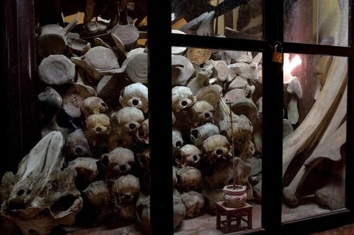 Truyền thống thờ cá voi ở Việt Nam