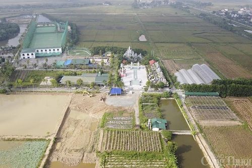 Cận cảnh 'kỳ quan thế giới' trong dự án nuôi cá rô phi ở Nghệ An