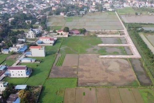 Các huyện Hà Nội tiếp tục đấu giá nhiều lô đất, khởi điểm thấp nhất 1 triệu đồng/m2