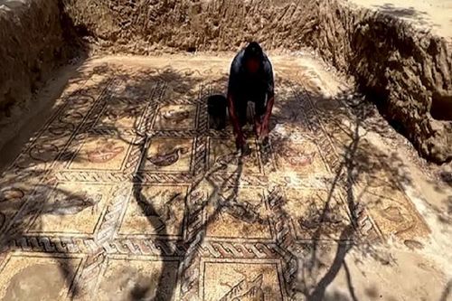Bất ngờ phát hiện báu vật nghìn năm tuổi khi đào đất trồng cây