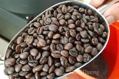 Vương quốc Anh tăng nhập khẩu cà phê từ Việt Nam