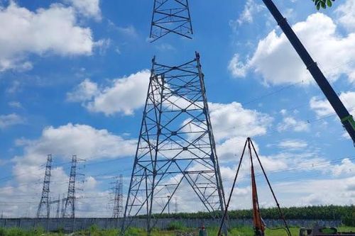 Vướng mắc mặt bằng đường dây 500kV Đức Hòa - Chơn Thành, chính quyền Bình Dương vào cuộc