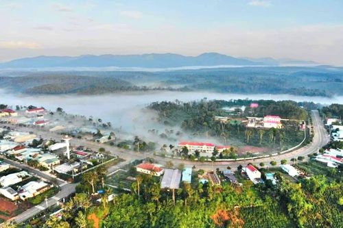 Vi phạm luật đất đai một doanh nghiệp bị thu hồi hơn 14ha đất