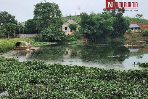 Thanh Hóa: Xử phạt trại lợn gây ô nhiễm môi trường 150 triệu đồng