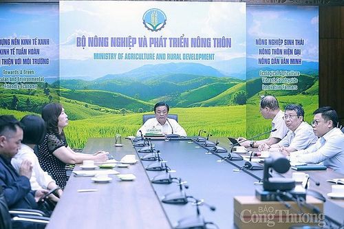 Rau VietGAP 'rởm' biến hình vào siêu thị: Bộ Nông nghiệp họp khẩn