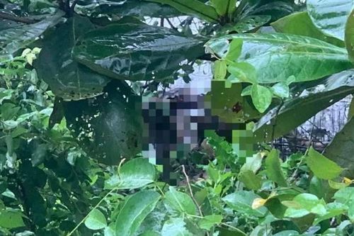 Sau 4 ngày mất tích, thi thể nữ sinh 16 tuổi được phát hiện dưới sông
