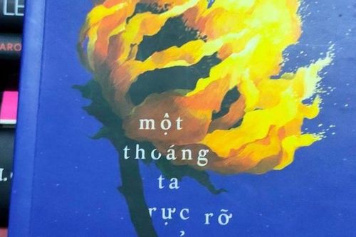 Hãy sống như thể 'Một thoáng ta rực rỡ ở nhân gian'