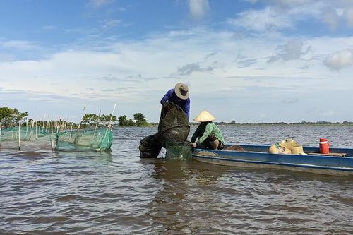 Ngư dân đầu nguồn biên giới Tân Châu trúng mùa thủy sản mùa nước nổi