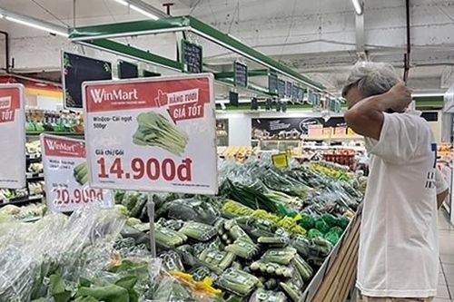 Rau trôi nổi 'đột lốt' rau VietGAP: Không thể quản lý chất lượng bằng… niềm tin