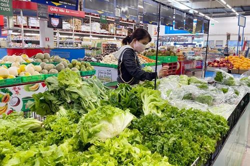 Rau bẩn 'đội lốt' VietGAP: Truy trách nhiệm giám đốc siêu thị