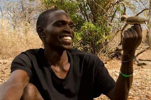 Honeyguides: Loài chim hoang dã có thể giao tiếp và làm việc cùng với con người