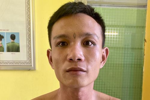 Phòng Cảnh sát hình sự bắt nhiều đối tượng trốn truy nã đặc biệt nguy hiểm