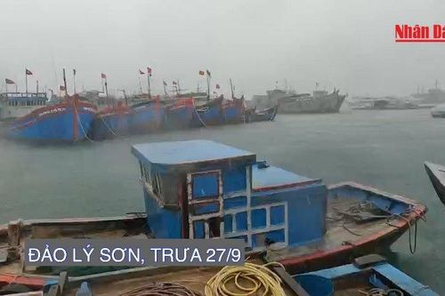 Trưa 27/9, đảo Lý Sơn đã bắt đầu mưa to, biển động dữ dội