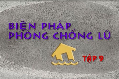 Biện pháp phòng chống lũ