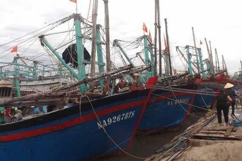 Nghệ An: Cấm biển, chủ động công tác phòng chống bão Noru