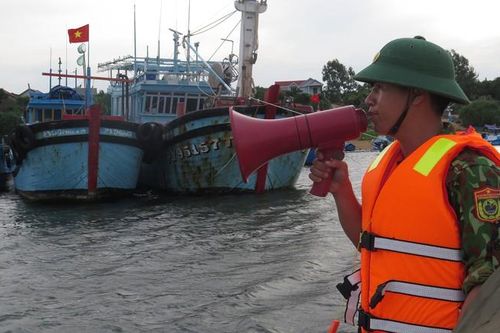 Phú Yên: Gần 5.000 tàu thuyền lớn nhỏ đã vào nơi tránh trú bão