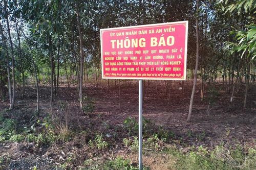 Đồng Nai xử lý nghiêm vi phạm đất đai