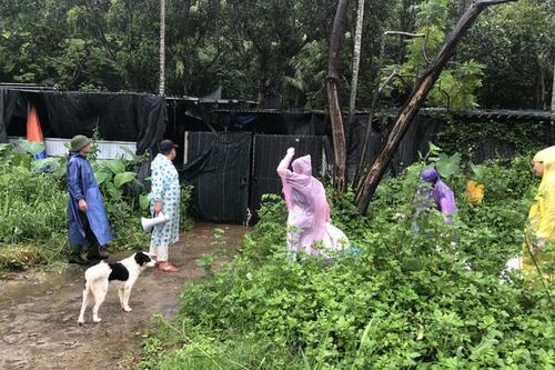 Đà Nẵng, Thừa Thiên - Huế, Quảng Trị hối hả phòng chống siêu bão Noru