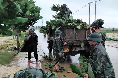 Đảo Lý Sơn gió giật cấp 8, cấm người dân ra đường từ 10h ngày 27/9