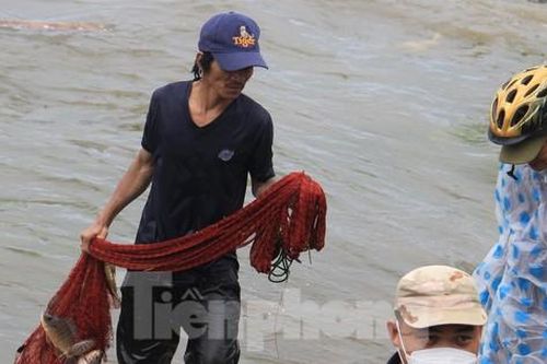 Người dân Đà Nẵng đổ ra biển bắt cá... nước ngọt sau bão số 4