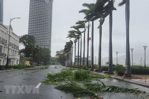 Bão số 4-Noru: Đà Nẵng tích cực hỗ trợ người dân khắc phục thiệt hại