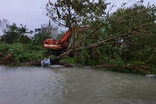 Gió giật và mưa lớn dữ dội, miền Trung oằn mình trong bão