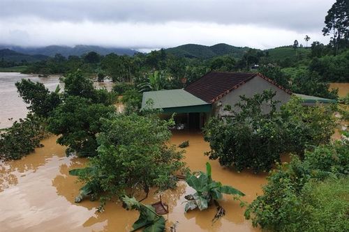 Mưa lũ gây thiệt hại về tài sản và hoa màu của người dân địa bàn biên giới Nghệ An