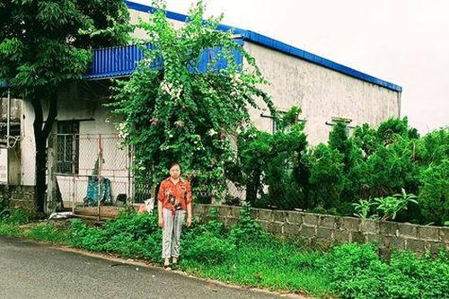 Huyện Nam Trực (Nam Định): Cần làm rõ việc đất có sổ đỏ 'bỗng nhiên' bị người khác xây dựng nhà ở