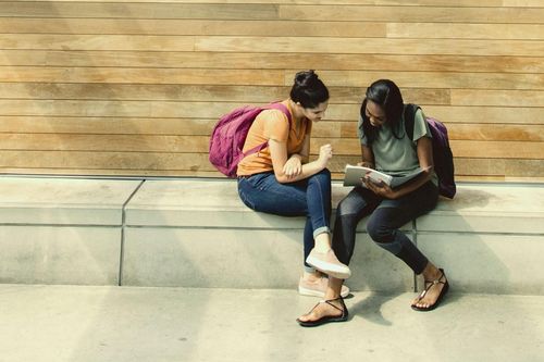Sinh viên ở Harvard ngủ hành lang, lên thư viện ké điều hòa vì nóng