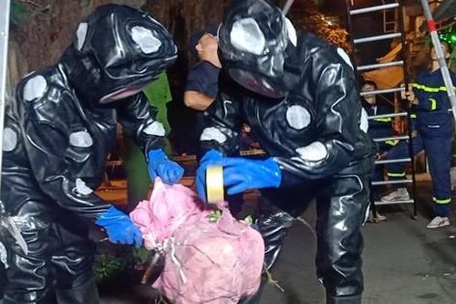 Nín thở xem cảnh sát di dời tổ ong vò vẽ 'khủng' ở khu dân cư