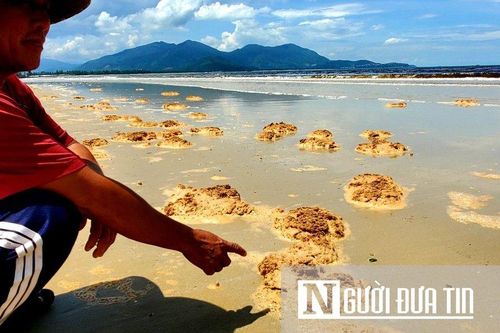 Sau bão số 4, nước biển ở Thừa Thiên-Huế xuất hiện màu bất thường
