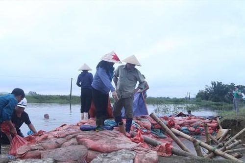 Mưa lũ ở Nghệ An - Hà Tĩnh: Đê vỡ, nhà ngập, nhiều người chết và mất tích