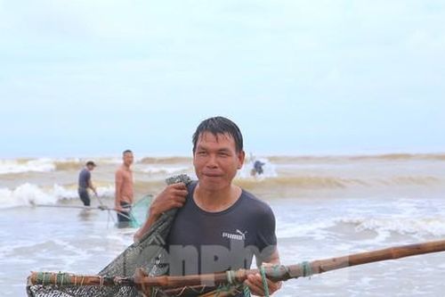Hàng trăm người dân ra biển vợt sò lông sau mưa bão, thu nhập tiền triệu