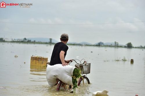 Nước mắt nơi tâm lũ Quỳnh Lưu
