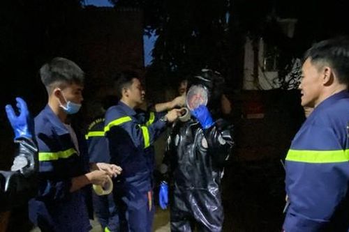 Hãi hùng với tổ ong vò vẽ dài 1 mét ở trung tâm TPHCM