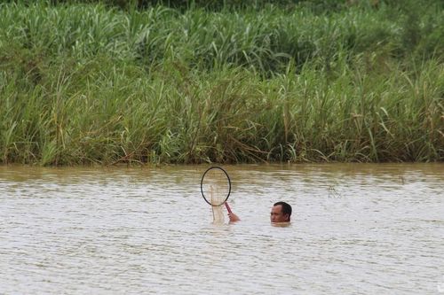 Cảnh báo đuối nước do đánh bắt cá, vớt củi mùa lũ ở Nghệ An