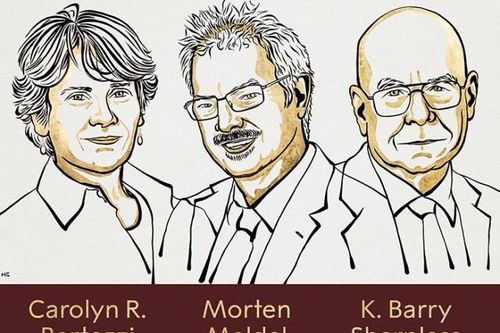 Nobel Hóa học 2022 gọi tên ba nhà khoa học Mỹ, Đan Mạch