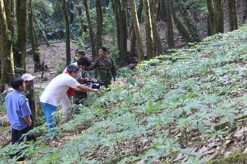 Xây dựng Đề án hình thành Trung tâm Công nghiệp dược liệu Quảng Nam