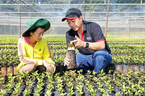 Nestlé công bố tiếp tục thúc đẩy nông nghiệp tái sinh, cải thiện sinh kế của nông dân