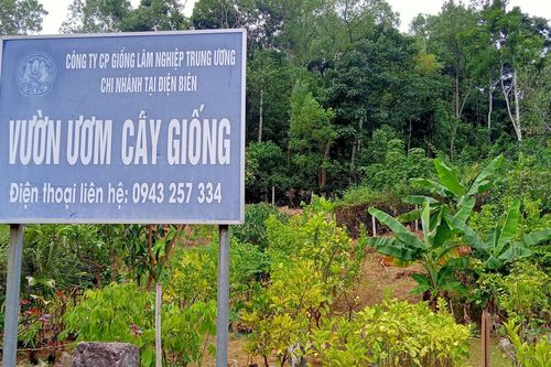 Pháp luật 'gọi tên' ai?
