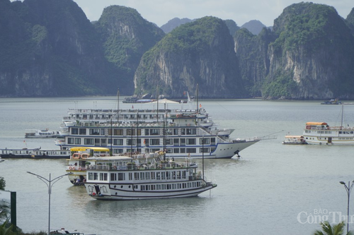 Sắp diễn ra Đại hội đồng Diễn đàn Du lịch Liên khu vực Đông Á tại Quảng Ninh