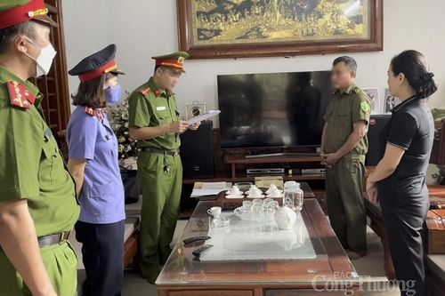 Công an tỉnh Nghệ An: Khởi tố, bắt khẩn cấp 2 chủ tịch xã, 2 giám đốc doanh nghiệp