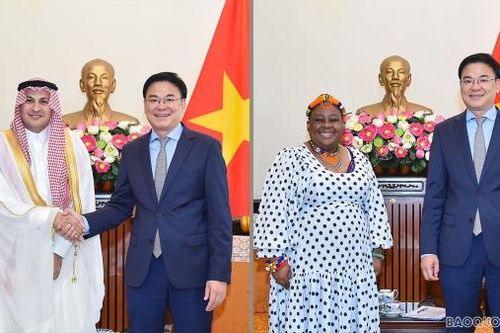 Thứ trưởng Ngoại giao Phạm Quang Hiệu tiếp Đại sứ Nam Phi và Đại sứ Saudi Arabia