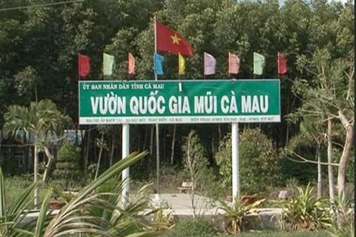 Truy tố lãnh đạo và nhiều cán bộ tại Vườn quốc gia Mũi Cà Mau
