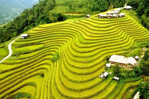 Mùa vàng ở Làng văn hóa du lịch cộng đồng thôn Nậm Hồng