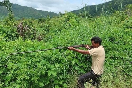 Người đàn ông bắn nhằm người khi đi săn gà rừng